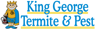 kgtp top logo